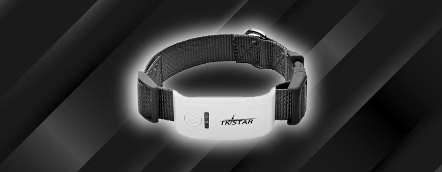 Rastreador GPS Satelital Mascotas Collar Perros Gatos TK909